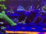 IMG_4035.jpeg