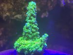 IMG_3783.jpeg