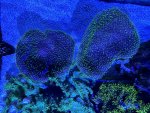 IMG_3735.jpeg
