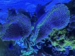 IMG_3734.jpeg
