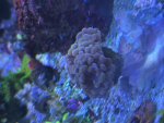 IMG_0473.jpeg