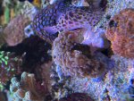 IMG_0469.jpeg