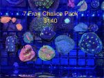 IMG_4240.jpeg