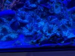 IMG_1071.jpeg