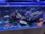 IMG_4863.jpeg