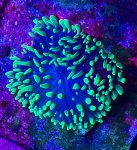 IMG_3048.jpeg