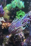IMG_0815.jpeg