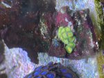 IMG_0816.jpeg