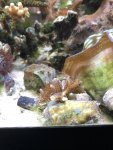 IMG_8377.jpg