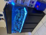 IMG_2076.jpeg