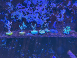 tempImage0Adn6s.png