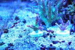 DSC_8598.JPG