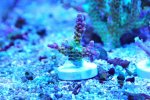 DSC_8602.JPG