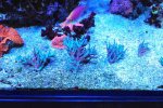 DSC_8617.JPG