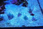DSC_8618.JPG