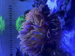 IMG_2590.jpeg