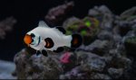 IMG_1458.jpeg