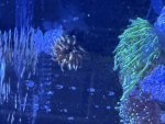 IMG_0298.jpeg