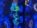 IMG_8611.jpeg