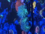 IMG_8630.jpeg