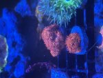 IMG_8629.jpeg