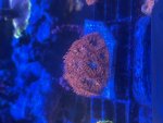 IMG_8628.jpeg