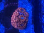 IMG_8612.jpeg