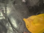 IMG_5962.jpeg