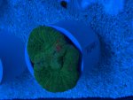 IMG_6996.jpeg