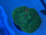 IMG_6962.jpeg