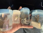 IMG_1590.jpeg