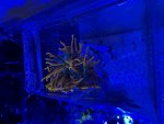 IMG_1707.jpeg