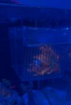IMG_1733.jpeg