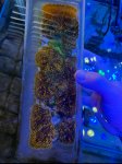 IMG_0624.jpeg
