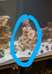 PXL_20250208_012053946~3.jpg