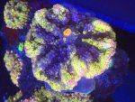 IMG_0775.jpeg