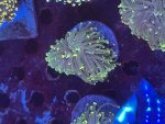 IMG_0768.jpeg