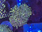IMG_0766.jpeg