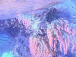 IMG_1017.jpeg