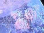 IMG_1016.jpeg