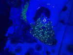 IMG_3028.jpeg