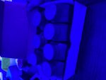 IMG_5740.jpeg