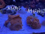 IMG_1722.jpeg