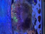 IMG_0532.jpeg