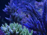 IMG_6897.jpeg
