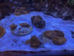 IMG_0571.jpeg
