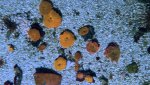IMG_9267.jpeg