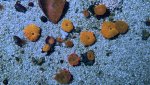 IMG_9269.jpeg