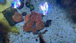 IMG_9270.jpeg