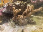 IMG_0616.jpeg